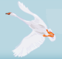 Logo Wijkopbouworgaan Oost